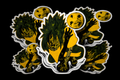 Sasuke Stickers