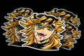 Doma Stickers